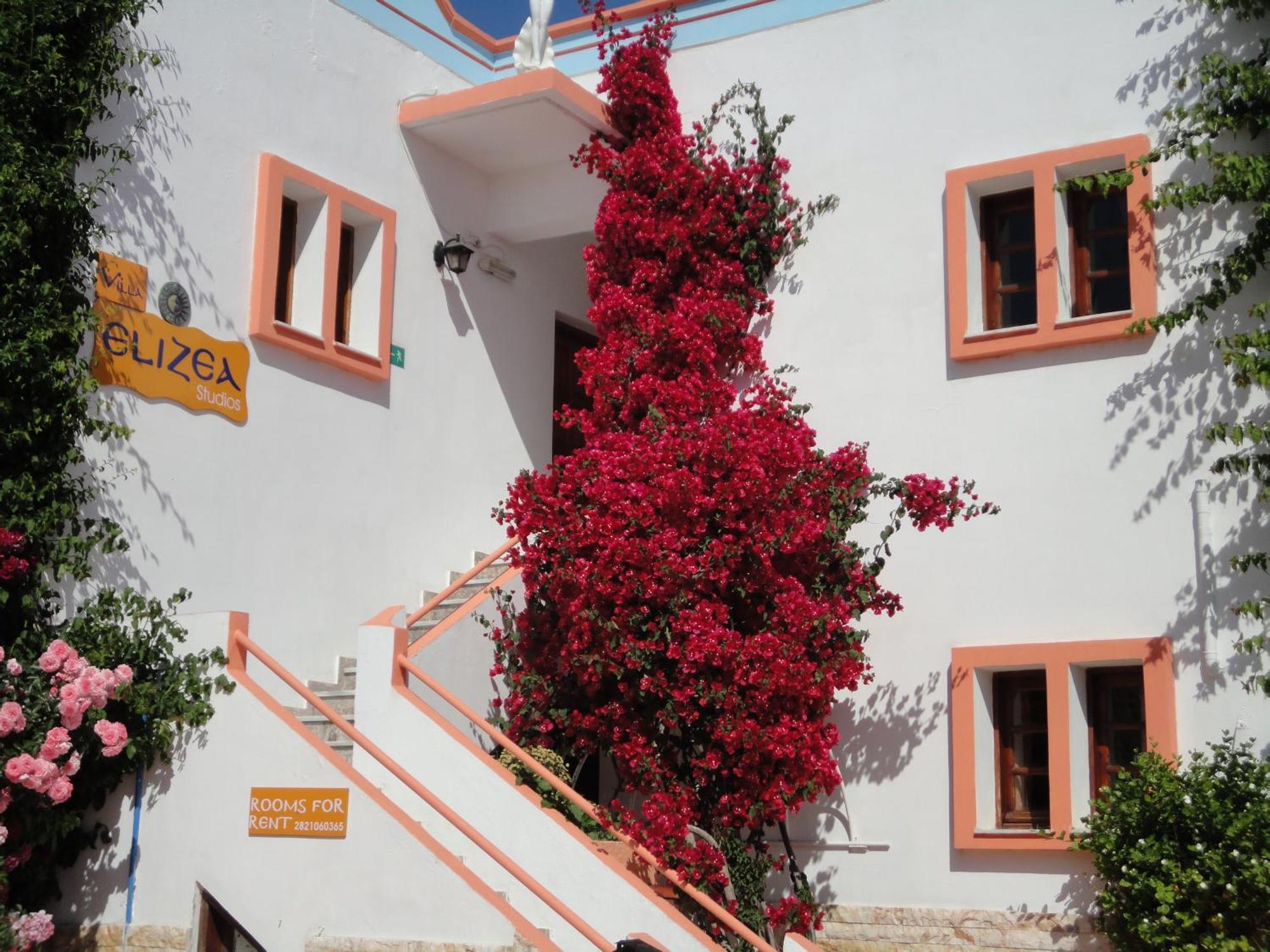 Villa Elizea スタロス エクステリア 写真